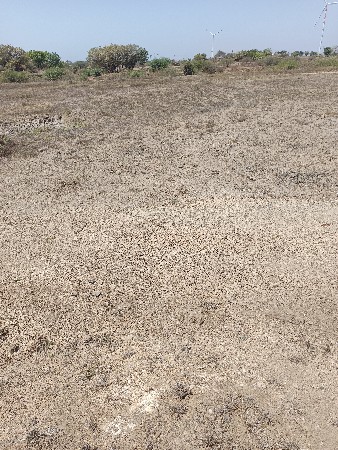 દેવભૂમિ દ્વારકા જિલ્લામાં