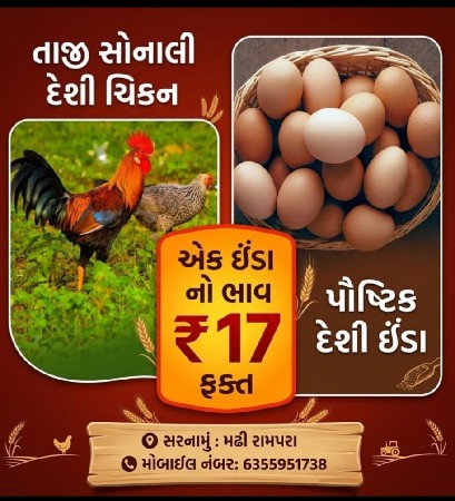 મુરઘીના ઈંડા