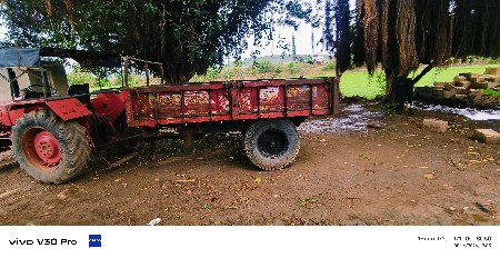 આ ટોલી વેચવાની છે