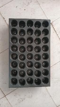 ઉચ્ચ ઘનતાવાળી પ્લાસ્ટિકની રોપા ઉગા