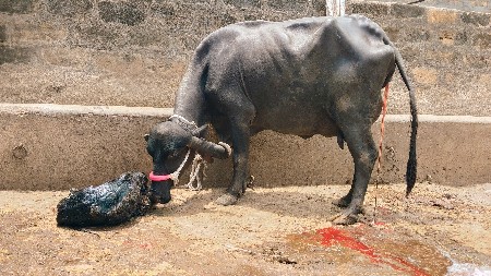 વેચવાની છે