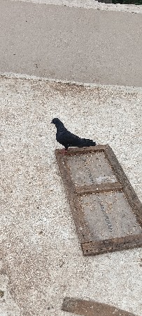 લેવો હોય તો જ ફોન કરવો