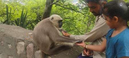 વેસવાનુ