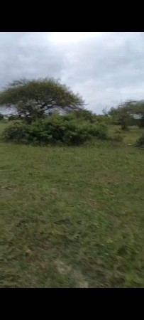 આ જમીન વેચવાની છે