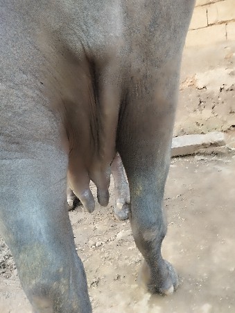 અજય ભાઇ બારિયા ૮૭૯૯૩૪૮૫૭૩