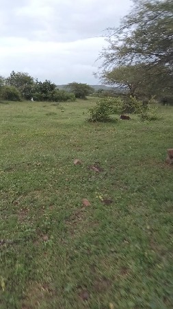 આ જમીન વેચવાની છે