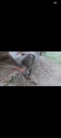 બીજા વેતર ની છે