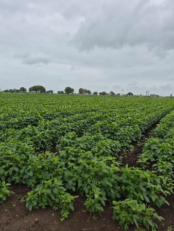 આ જમીન વેચવાની છે