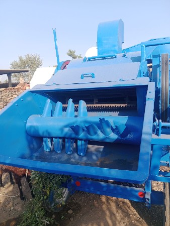 ગણેશ રાજ નુ થેસર છે