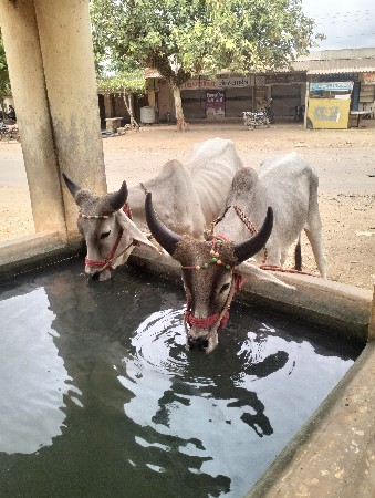 શિવ શહેર