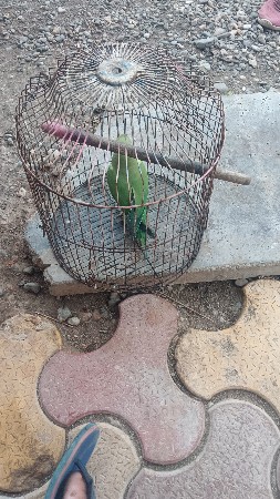 aa mena vechavani che