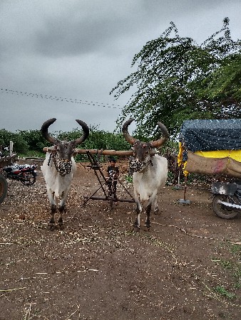5 ધર‌ ના