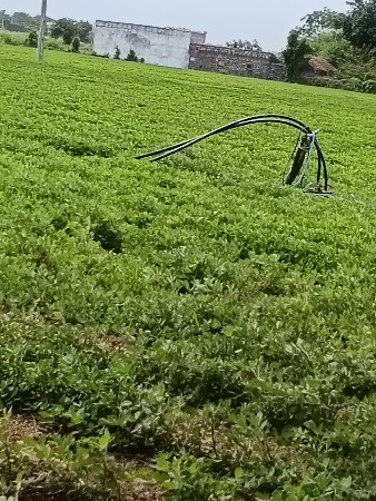 ૨. નિ બે મોટર વેસવાનિસે