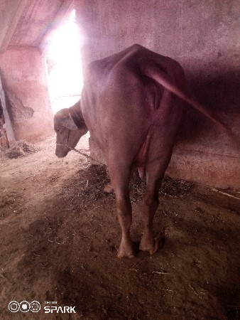 વેચવાનુછે