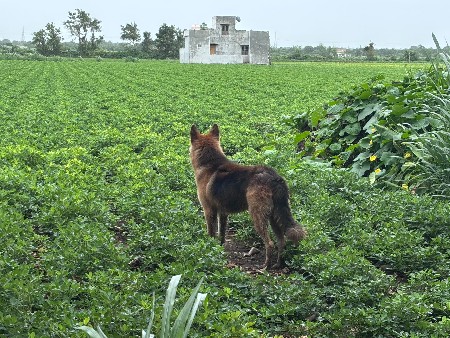 મિટિંગ માટે