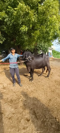 વેચવાની છે