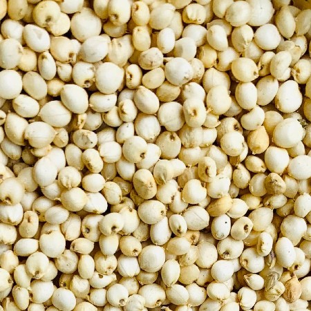 જુવાર