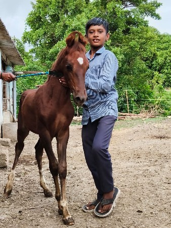 વસેરીવેસવાની શે ઉમર•3•મયના