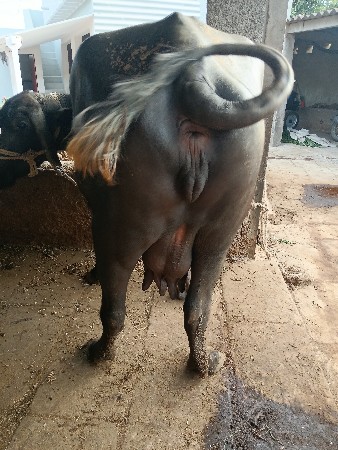 બીજું વેધર