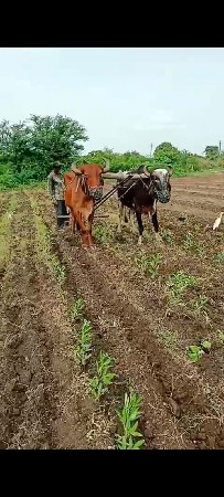 વેચવાના છે