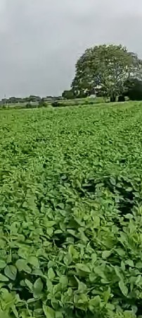 જમીન વેચવા ની સે
