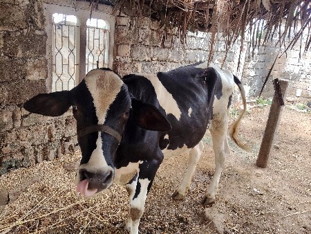 આ વાસળી વેચી નાખવાની