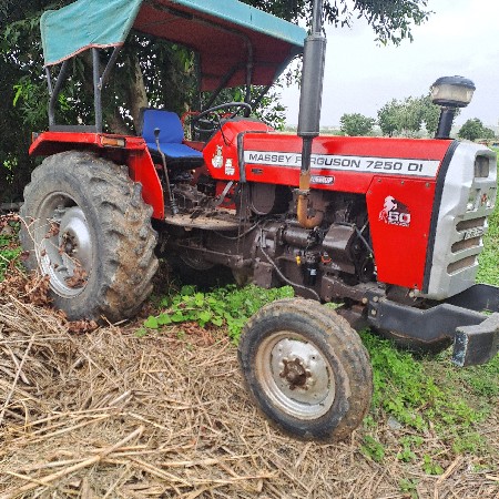 massey 7250.મોડલ 2019/20