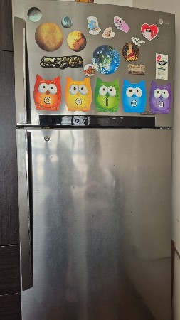 lg fridge