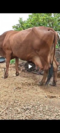 વેચવાની છે