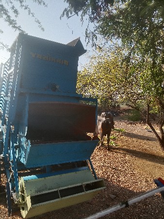 વેસવાનુછે