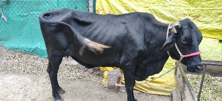 વેચવાની છે