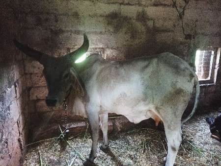 વેચવાની