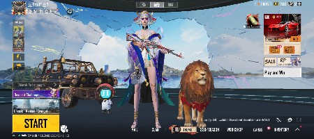 bgmi id