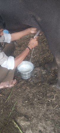 આ ખડાઈ વેચવાની છે