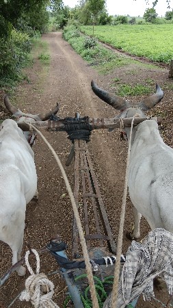 વેચવા ના સે