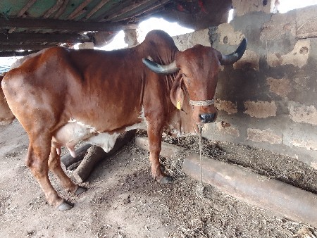 થઈ નથી