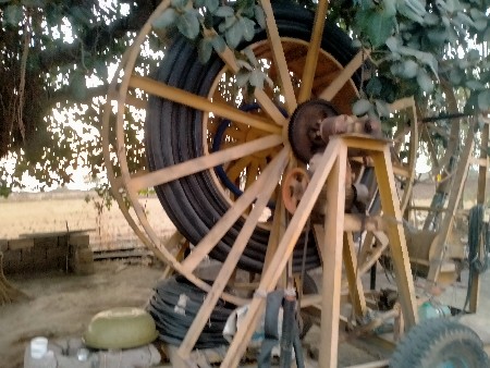 ઘોડી પાપ વીતવાની
