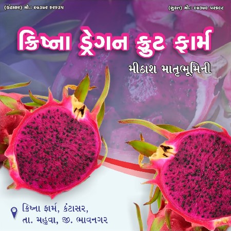 ડુંગળી નું બિયારણ