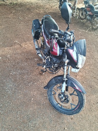 pletina gadi
