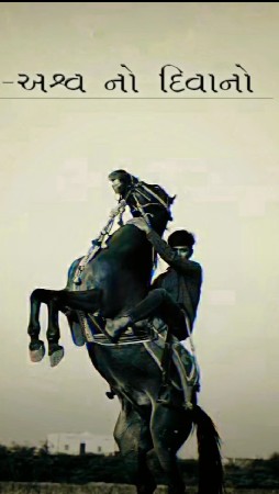 નાનો વચેરો લેવાનો છે