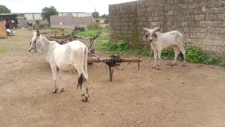 Junagarh Jila pahchan Taluka