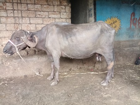 9316730420 આમાં ફોન કરવો