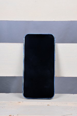 8141956456