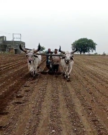 ચોથીદાર મારવા દેવાની કોઈ જવાબદારી