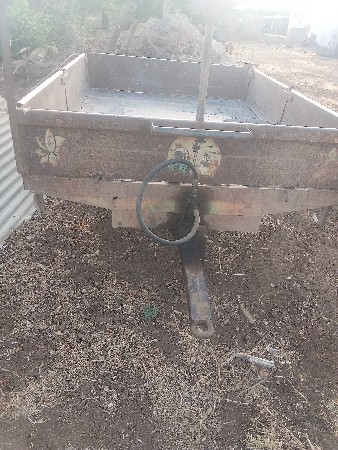 ટોલી વેસવાનીછે