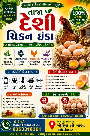 દેશી મરઘીના ઈંડા વેચવાના છે.