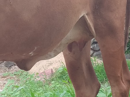 2,બિજુવેતરવિયાસે
15,દિવશનિ કાચિ