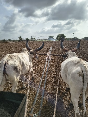 વેચવા