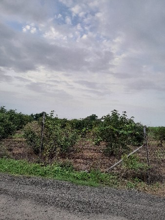 farm house 🏠 10 vigha 18 lakha