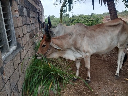 જવાબદારીથી દેવાનો છે